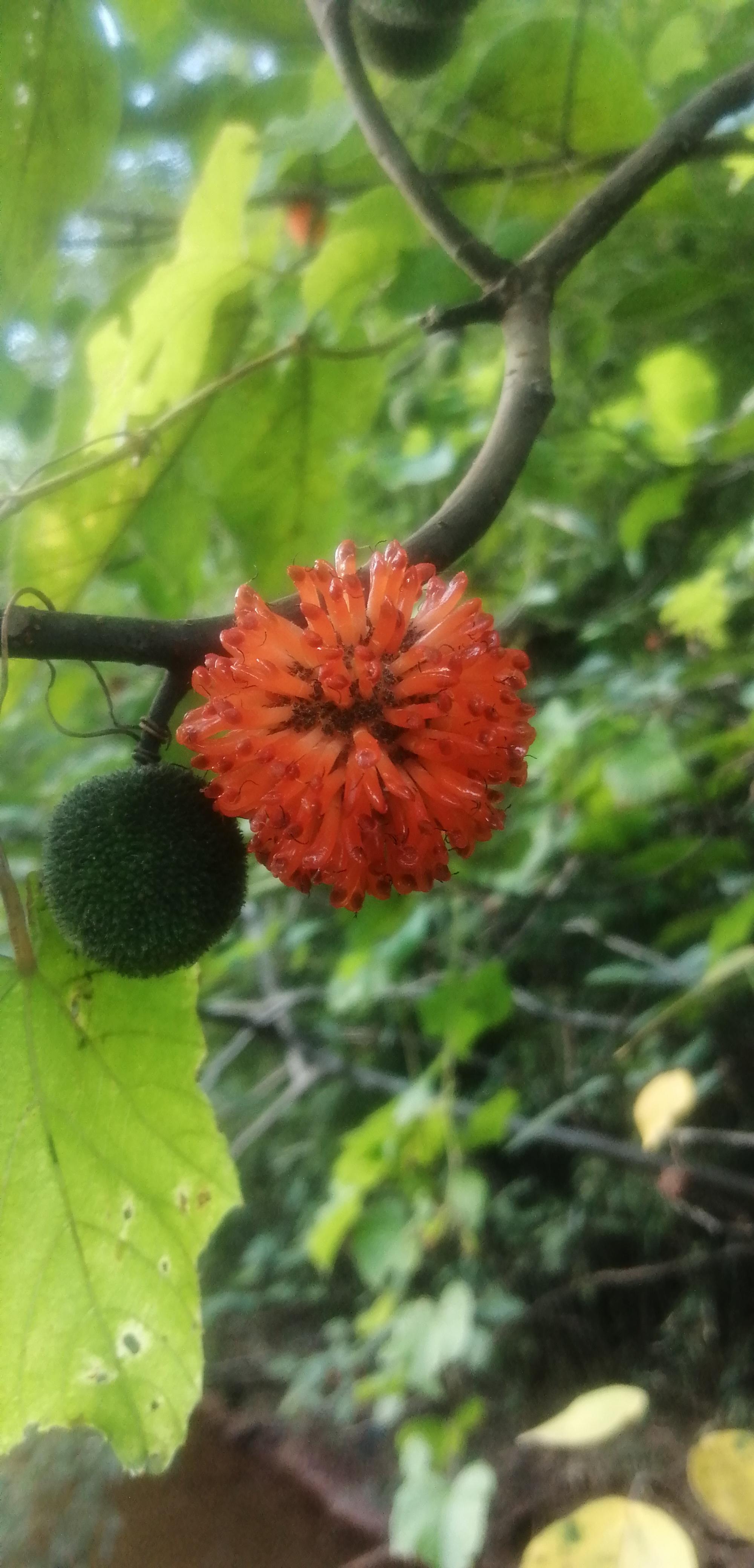 衡南县茅市水对街百货店的小店