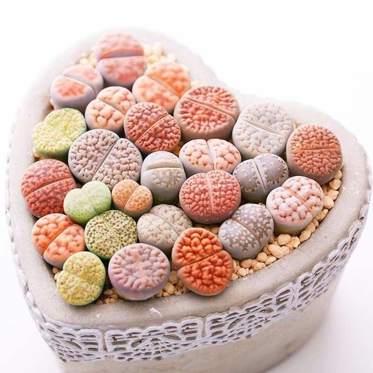 重庆会凌物流有限公司的小店