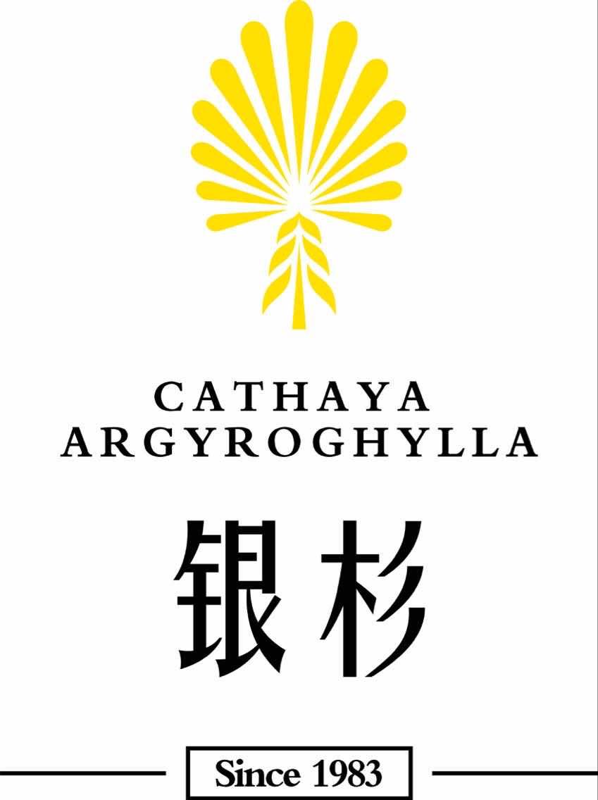 重庆新银杉餐饮文化管理有限公司的小店