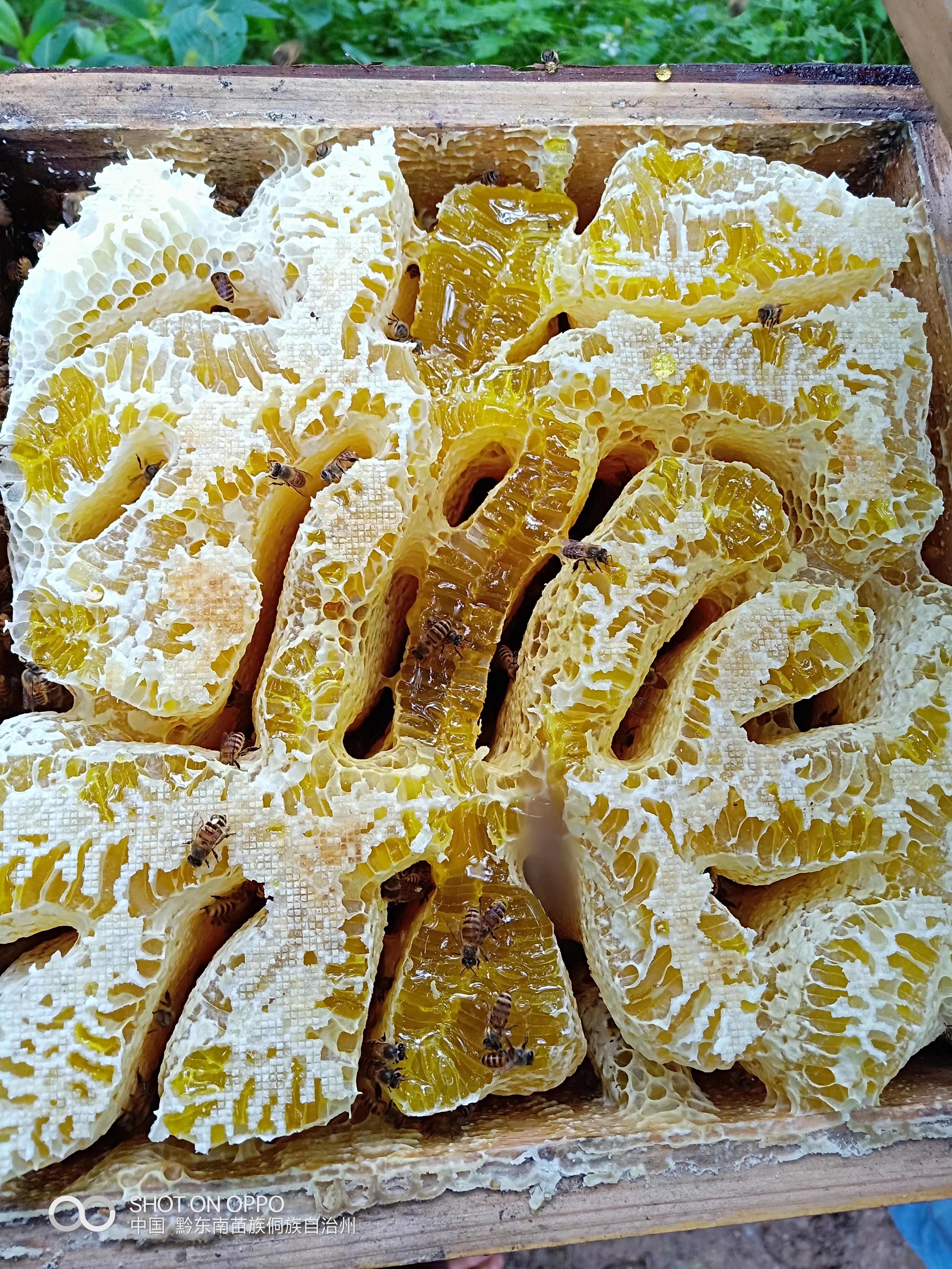 岑巩县沁园养殖场的小店